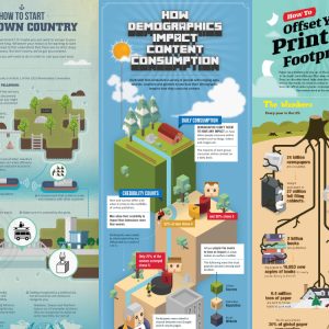 Infographic Design